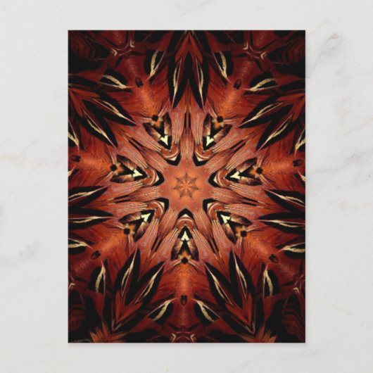 FlammenFeather Kaleidoskop Postkarte (Vorderseite)