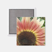 Flammensonne ~ Magnet (Vorderseite/Rückseite)