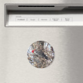 Flammmagnet Magnet (In Situ (Geschirrspüler))