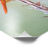 Flammskimmer Dragonfly auf Agave Fotodruck (Ecke)