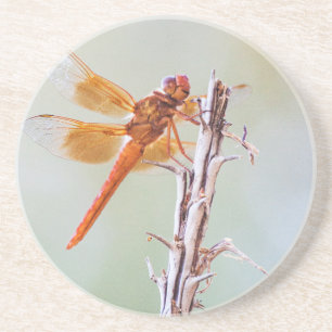 Flammskimmer Dragonfly auf Agave Getränkeuntersetzer
