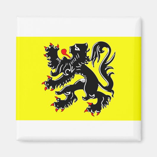 Flandern, Belgiflagge Magnet (Vorne)