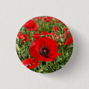 Flandern-Mohnblumen-Knopf Button