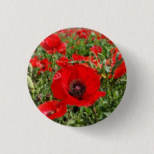 Flanders Poppy Button (Vorderseite)