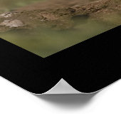 Flapping Puffin Poster (Ecke)