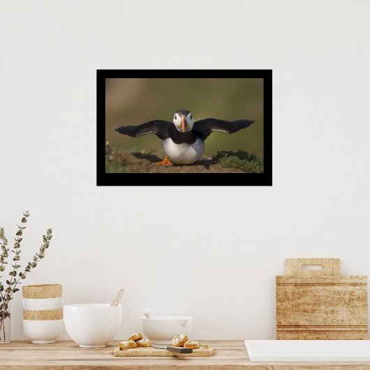 Flapping Puffin Poster (Küche)
