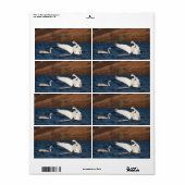 Flapping Swan (Vorne)