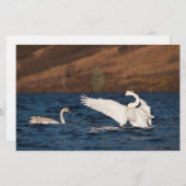 Flapping Swan Briefpapier (Vorne/Hinten)