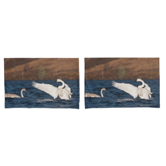 Flapping Swan Kissenbezug (Vorderseite-Set)
