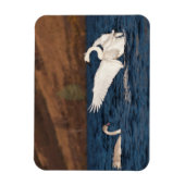 Flapping Swan Magnet (Vertikal)