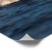 Flapping Swan Poster (Ecke)