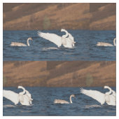 Flapping Swan Stoff (Nahaufnahme)