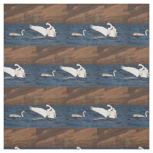 Flapping Swan Stoff (Muster)