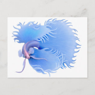 Flaring Betta Splendens Postkarte