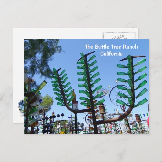 Flasche Baum Ranch Postkarte! Postkarte (Vorne/Hinten)