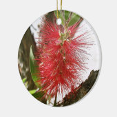 Flasche-Bürste Callistemon 8 Keramikornament (Links)