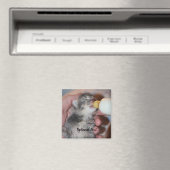 Flasche Füttre neugeborene Rescue Tabby Kitten Magnet (In Situ (Geschirrspüler))