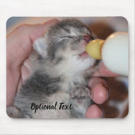 Flasche Füttre neugeborene Rescue Tabby Kitten Mousepad