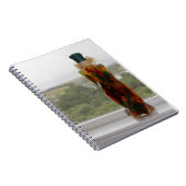 Flasche gefüllt mit süße Bell-Paprikaschoten Notizblock (Rechte Seite)