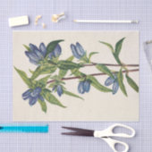 Flasche Gentian von Mary Vaux Walcott Seidenpapier (Handwerk)