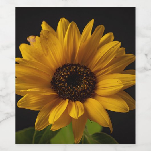 Flasche mit Sonnenblumen Weinetikett (Einzelnes Label)