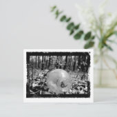 Flasche Postkarte (Stehend Vorderseite)