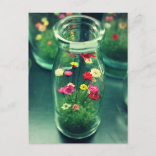 Flaschen Blume Postkarte