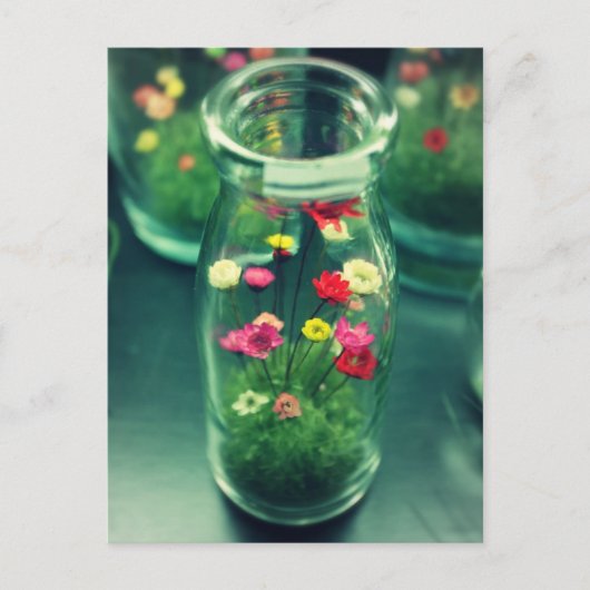 Flaschen Blume Postkarte (Vorderseite)