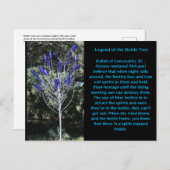 Flaschenbaum South Carolina Postkarte (Vorne/Hinten)