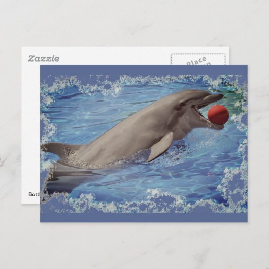 Flaschendolphe mit rotem Ball Postkarte (Vorne/Hinten)