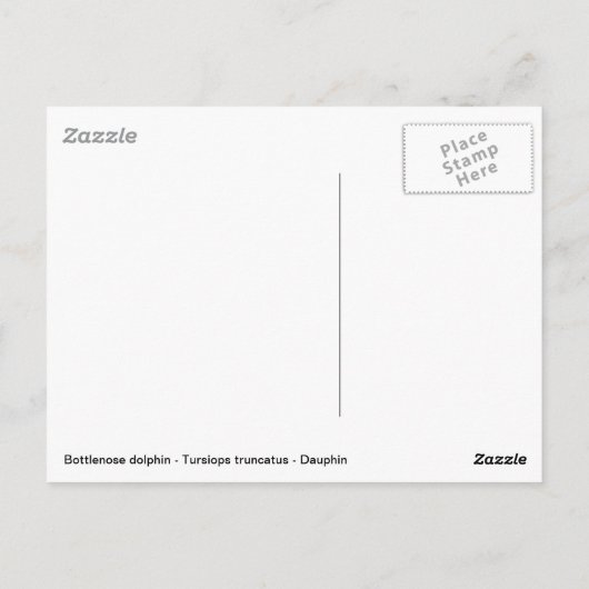 Flaschendolphe mit rotem Ball Postkarte (Rückseite)