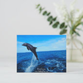 Flaschendümmler Postkarte (Stehend Vorderseite)