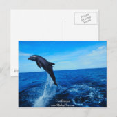 Flaschendümmler Postkarte (Vorne/Hinten)