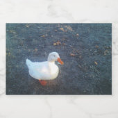 Flaschenetikett Schaumweinetikett (Einzelnes Label)