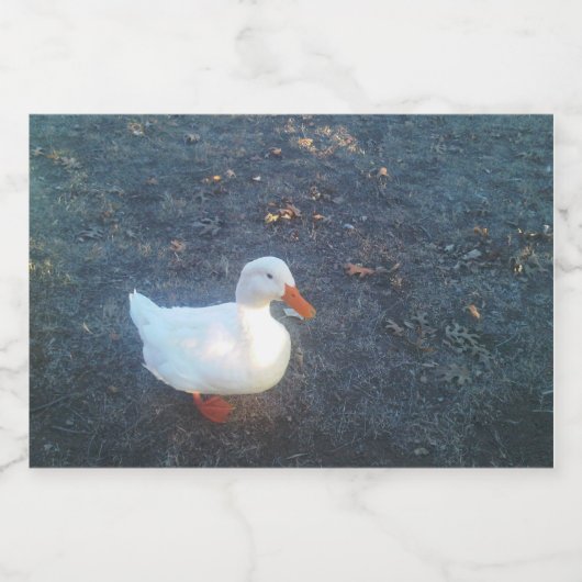 Flaschenetikett Schaumweinetikett (Einzelnes Label)