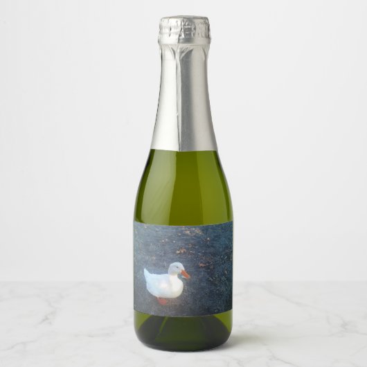 Flaschenetikett Schaumweinetikett (Vorderseite)
