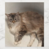 Flaschenetikett Weinetikett (Einzelnes Label)