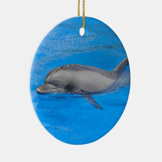 Flaschenhühnchen Keramikornament (Rechts)