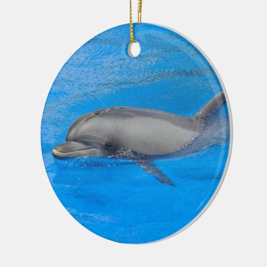 Flaschenhühnchen Keramikornament (Links)