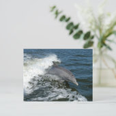 Flaschenhühner Foto Postkarte (Stehend Vorderseite)