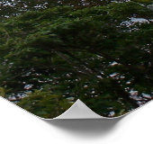 Flaschenkorb Poster (Ecke)
