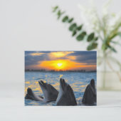 Flaschennadel bei Sonnenuntergang Postkarte (Stehend Vorderseite)