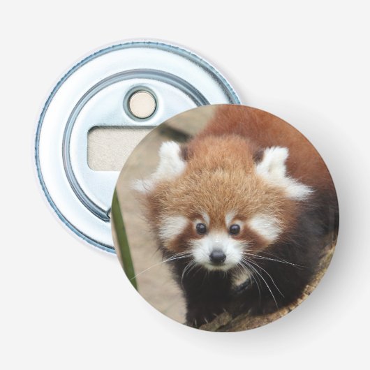 Flaschenöffner Foto rot Panda , Tiere 0108. (Vorderseite)