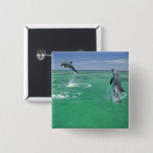 Flaschenose Delphine Tursiops truncatus Button (Vorne & Hinten)
