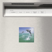 Flaschenose Delphine Tursiops truncatus Magnet (In Situ (Geschirrspüler))