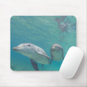 Flaschenose Delphine Tursiops truncatus Mousepad (Mit Mouse)