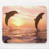 Flaschenose Delphine Tursiops truncatus Mousepad (Vorne)