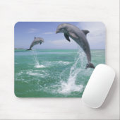 Flaschenose Delphine Tursiops truncatus Mousepad (Mit Mouse)
