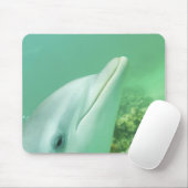 Flaschenose Delphine Tursiops truncatus Mousepad (Mit Mouse)