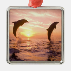 Flaschenose Delphine Tursiops truncatus Ornament Aus Metall
